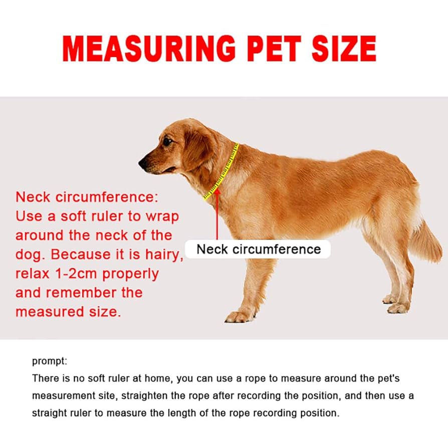 Amazon.co.jp: スパイクの犬の首輪中・大型犬用革首輪リベット